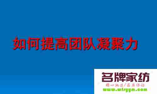 如何充分发挥团队的力量？ 如何发挥团队的力量