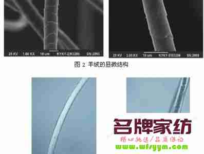 无锡协新集团生物酶技术引领羊毛纤维处理革新