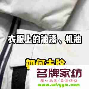 衣服上的油漆怎么能除掉 衣服上的油漆怎样去除