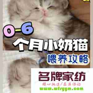 小奶猫怎么养大的 小奶猫怎样养活