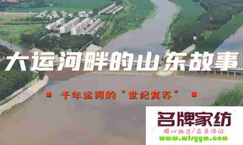 山东运河文化遗产保护、传承与利用研究 山东省大运河文化遗产保护条例