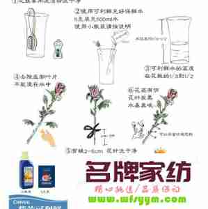 五种鲜花的保鲜方法视频 鲜花保存技巧