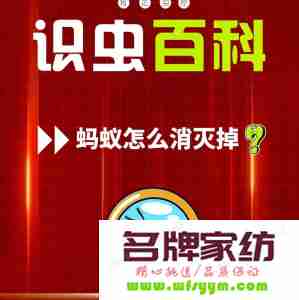 家庭防治蚂蚁宝典内容 家庭蚂蚁如何处理